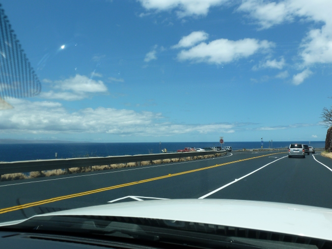 The drive to our resort was real scenic.  Ocean on the left, mountains on the right.